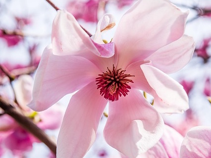 Uit je comfortzone…